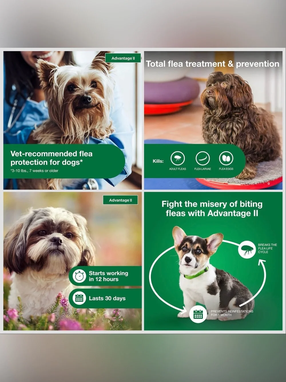 Advantage II Small Dog Flea & Lice Treatment 4 Monthly Doses 3-10 lbs